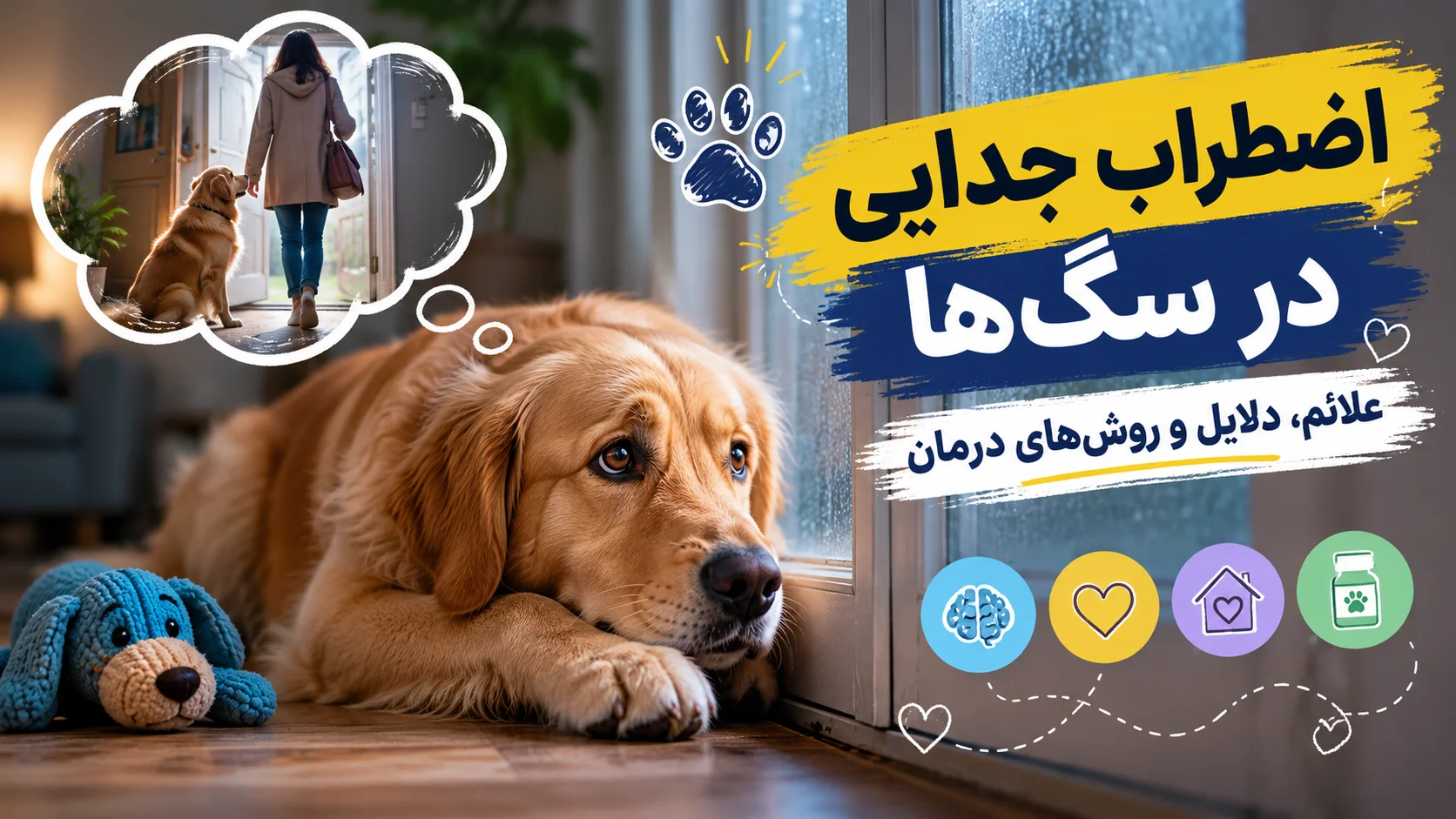 اضطراب جدایی در سگ‌ها — علائم، دلایل و روش‌های درمان
