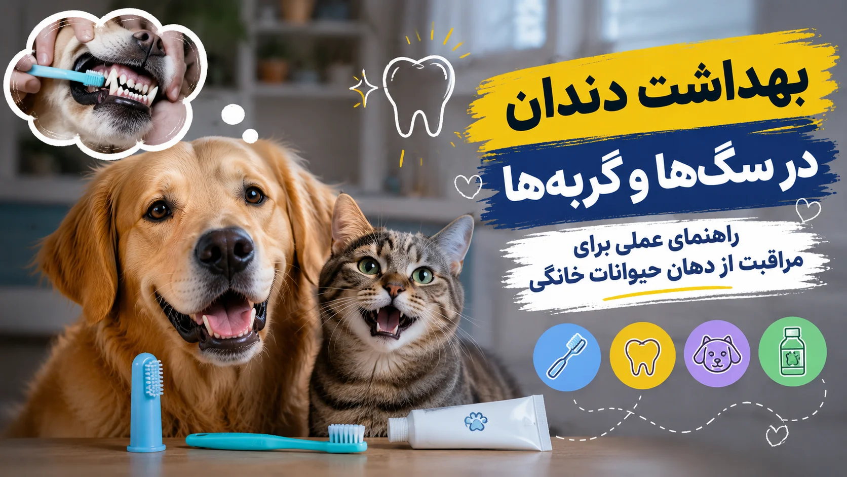 بهداشت دندان در سگ‌ها و گربه‌ها — راهنمای عملی برای مراقبت از دهان حیوانات خانگی