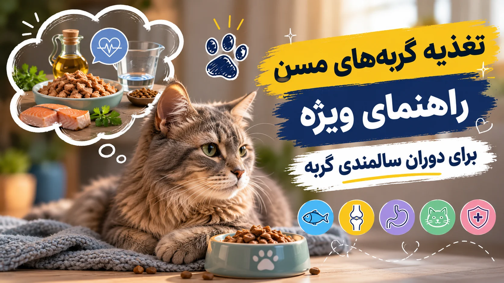 تغذیه گربه‌های مسن — راهنمای ویژه برای دوران سالمندی گربه