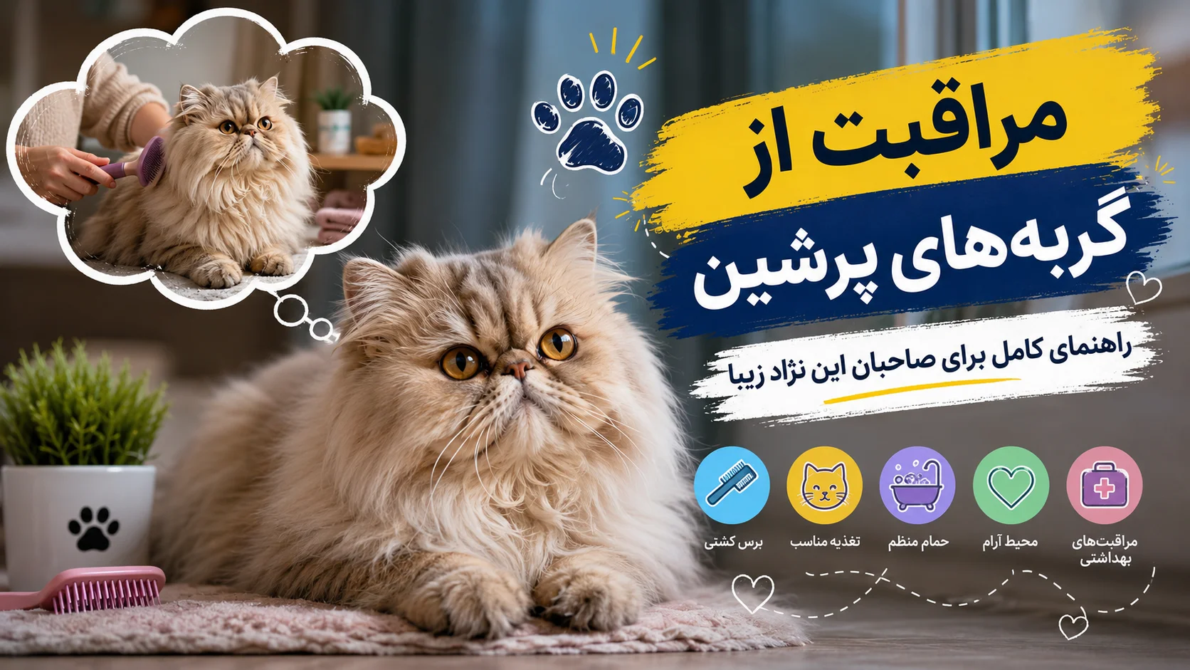 مراقبت از گربه‌های پرشین — راهنمای کامل برای صاحبان این نژاد زیبا
