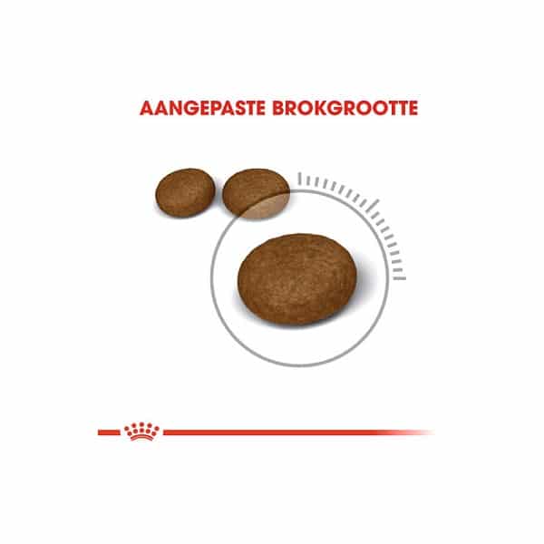 غذای خشک گربه رویال کنین مدل هیر اند اسکین وزن 10 کیلوگرم - Image 6