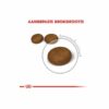 غذای گربه هیر اند اسکین رویال کنین وزن 2 کیلوگرم