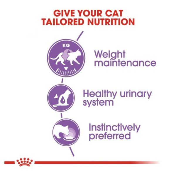 پوچ گربه استریلایزد گروی رویال کنین