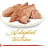 پوچ گربه پرشین ادالت رویال کنین