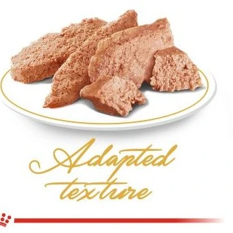 پوچ گربه پرشین ادالت رویال کنین